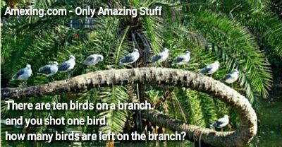 There are ten birds on a branch. and you shot one bird. how many birds are left on the branch?
