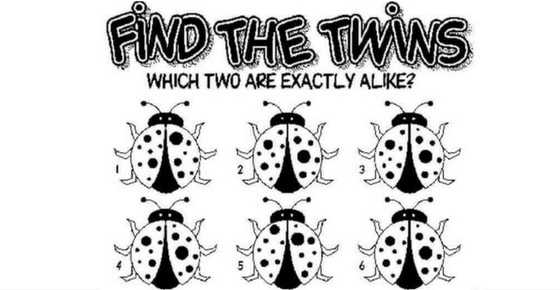 find-the-twins