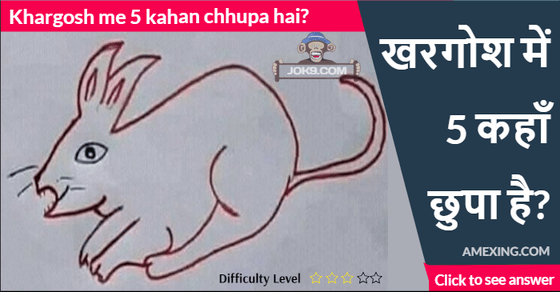 Khargosh me 5 kahan chhupa hai puzzle answer