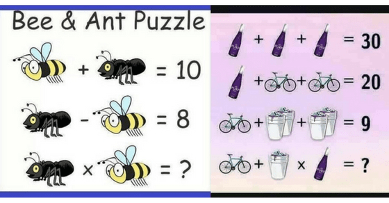 Bee and Ant puzzle answer | Amexing